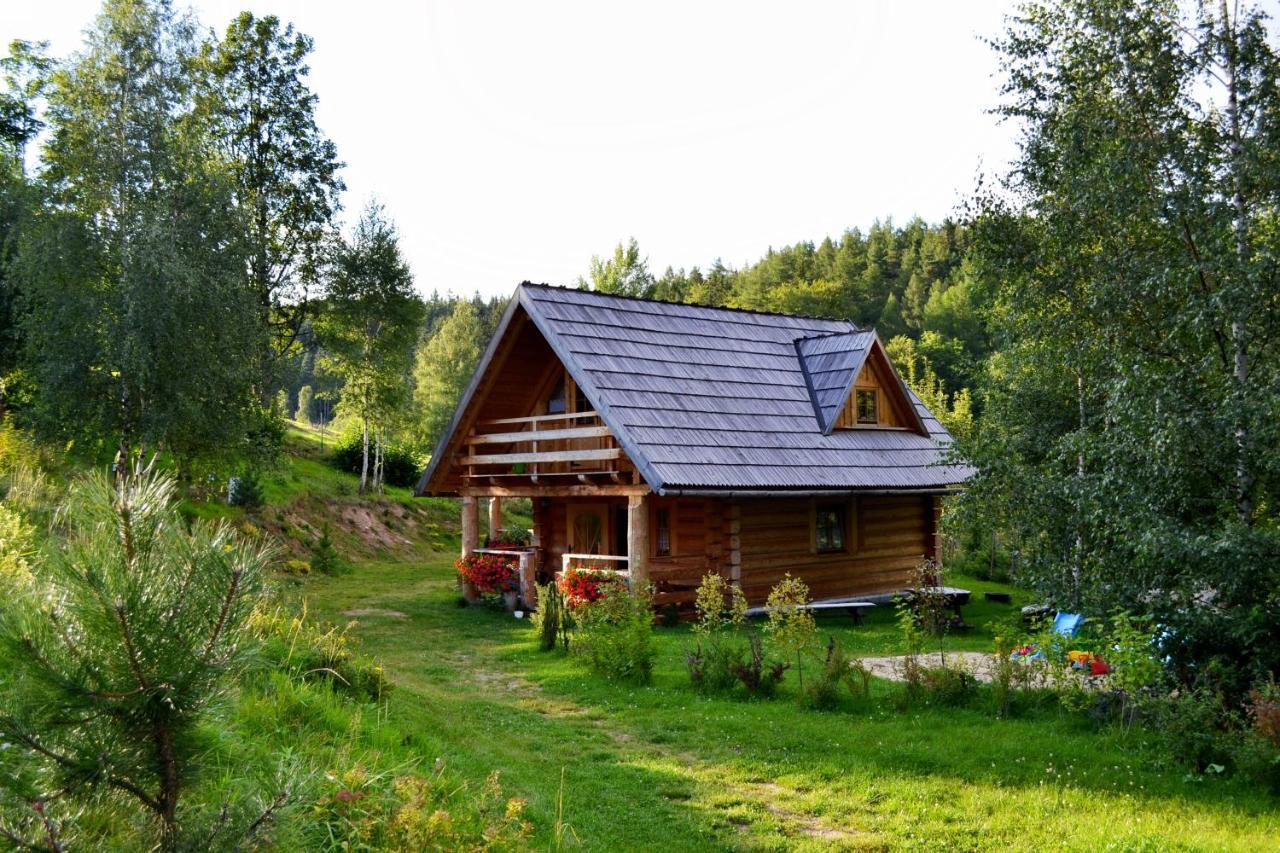 Leśniówka Domki W Karpaczu Exterior foto
